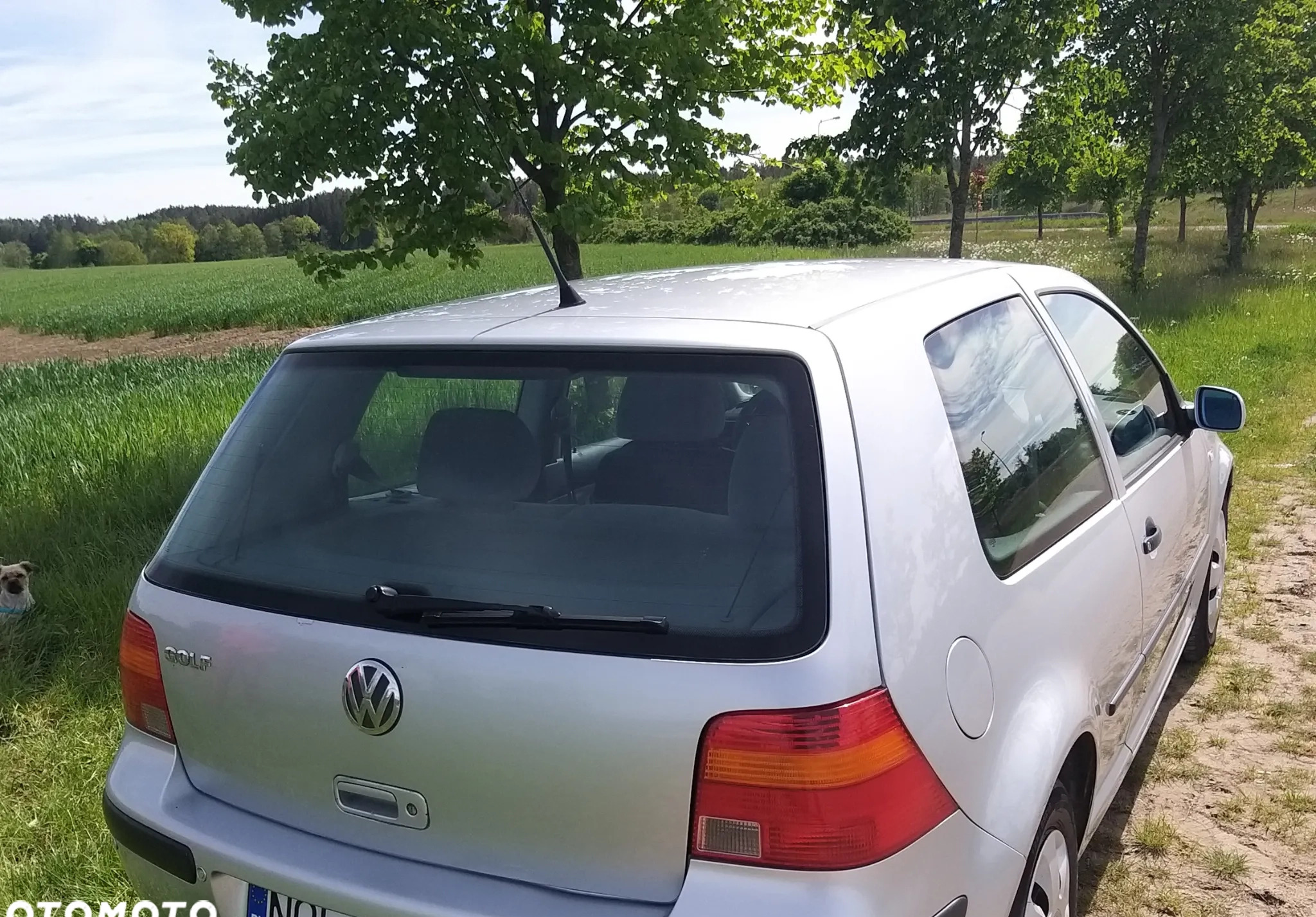 Volkswagen Golf cena 6200 przebieg: 164000, rok produkcji 2000 z Rymanów małe 137